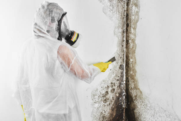 Best Home Mold Removal  in Eureka, KS