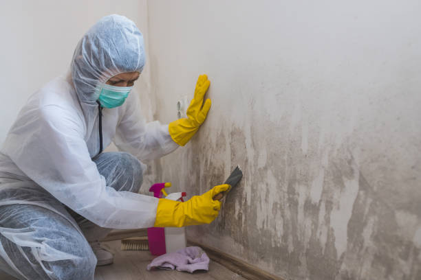 Best Mold Cleaning Services  in Eureka, KS