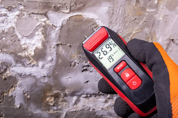 Reliable Eureka, KS Mold Removal Solutions