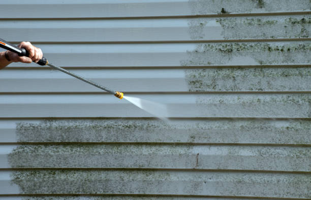 Best Attic Mold Removal  in Eureka, KS