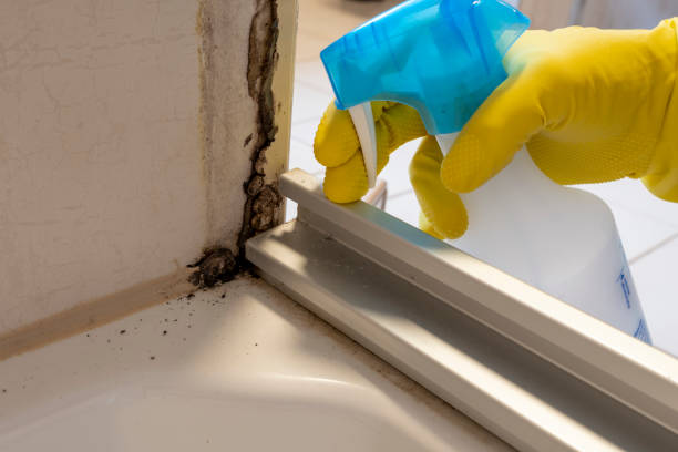 Crawl Space Mold Removal in Eureka, KS