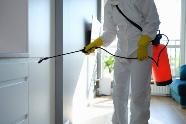 Office Mold Removal Services in Eureka, KS