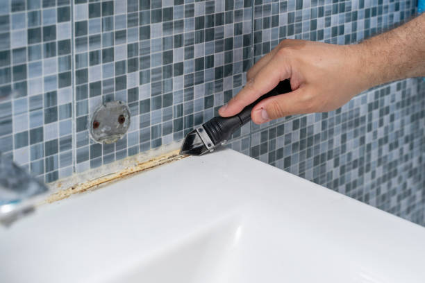 Best Mold Testing  in Eureka, KS