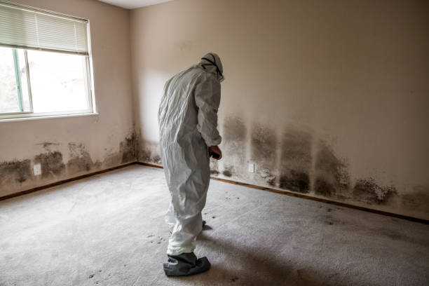 Best Professional Mold Removal  in Eureka, KS